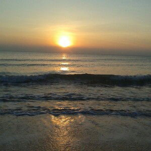 Sai Zaa profile icon