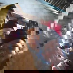 Akhdan Vyjonk profile icon