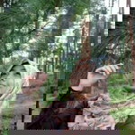 Rineke Kurnia profile icon