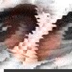 Norhaliza ishak profile icon