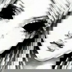 Qyla Bibie profile icon