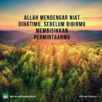 Latifah Dalilah Aman profile icon