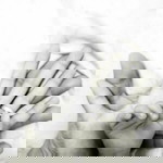 Alexa Jo Dacera profile icon