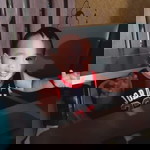 Joyce Joyce profile icon