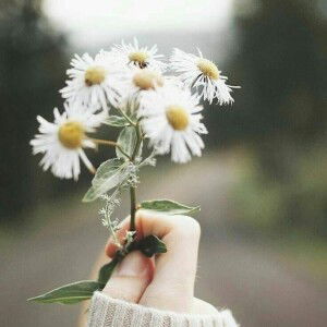 Nguyên Hồng profile icon