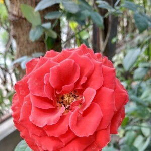 Lulu El-Fadh profile icon