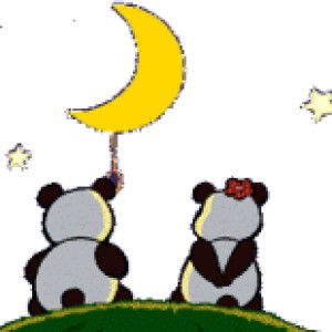 Wida Kharisma profile icon