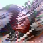 Rerref Htur Yram profile icon