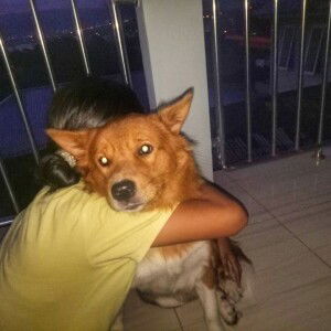 Pattiasina Wewen profile icon