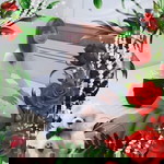 Ly Thanh Thanh profile icon