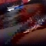 Sue Ina profile icon