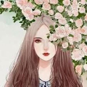 Nguyễn Cúc profile icon