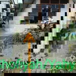 Galeri Muslim II profile icon