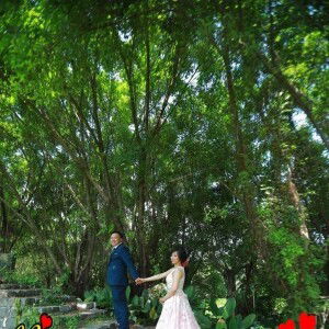 Nguyễn Thị Thuý An profile icon