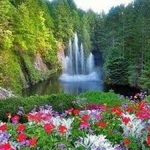 Ummu Savnizz profile icon