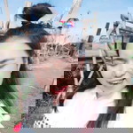 Waraporn Poonsawat profile icon