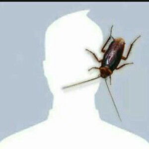 ZULKARNAIEN SHARI profile icon