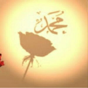 Meli Purwanti profile icon