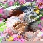 Supanni Kanpi profile icon