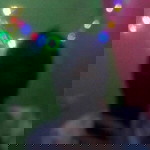 Pitriani Pipit profile icon