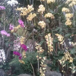 Lan Đặng profile icon