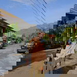 Rima Safrida profile icon