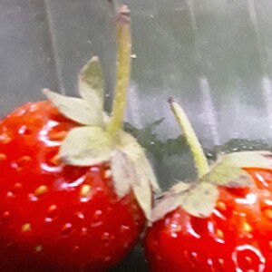 สโรชา ชิงโส profile icon