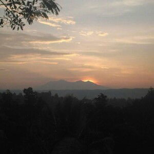 Siti Jamilah profile icon