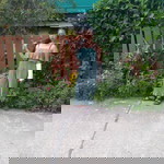 Apinna Sinasa Pink profile icon