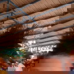 Diane Trazo Jimmy Compa profile icon