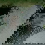 Neng Jullia profile icon