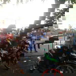 Devina Syafa profile icon