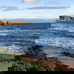 Erni Aja profile icon