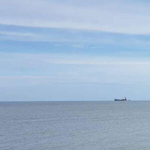 Shaza Elia profile icon