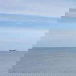 Shaza Elia profile icon