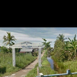 Amelia Ima profile icon