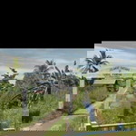 Amelia Ima profile icon