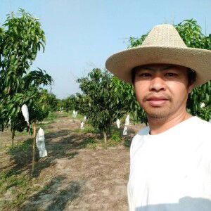 กุ้งก้ามแดงหล่ะปูน ลำพูน profile icon