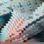 Richelle Sulpico Pedrajas profile icon