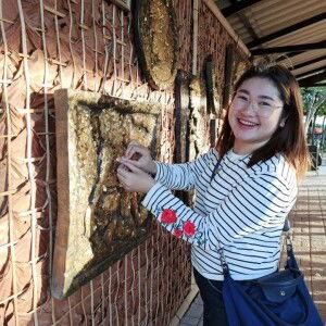 อมลรดา ปาวรีย์ profile icon