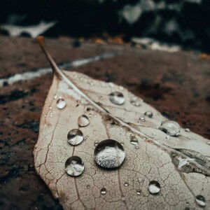 Indah Mulyadi profile icon