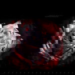 มัยใช่ ขอทาน มัยต้องการเศษจัย profile icon