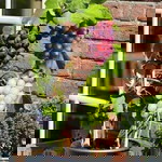 Erik Junaidi profile icon