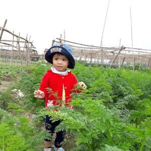 Hạt Tiêu profile icon