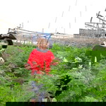 Hạt Tiêu profile icon