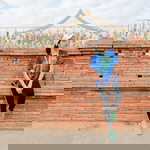 PockyPocky MangPoc profile icon