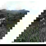 Dhewi Ayunnda profile icon