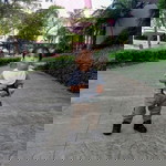 sherly quinto bonion profile icon