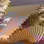 Kadek Widya profile icon