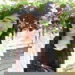 นพมาศ สงวน อิ่มชา profile icon